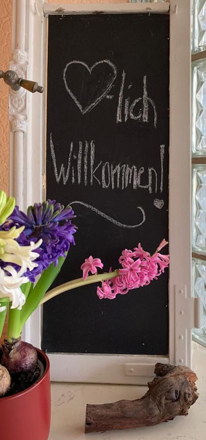 Ferienwohnung Birka Speyer Buitenkant foto